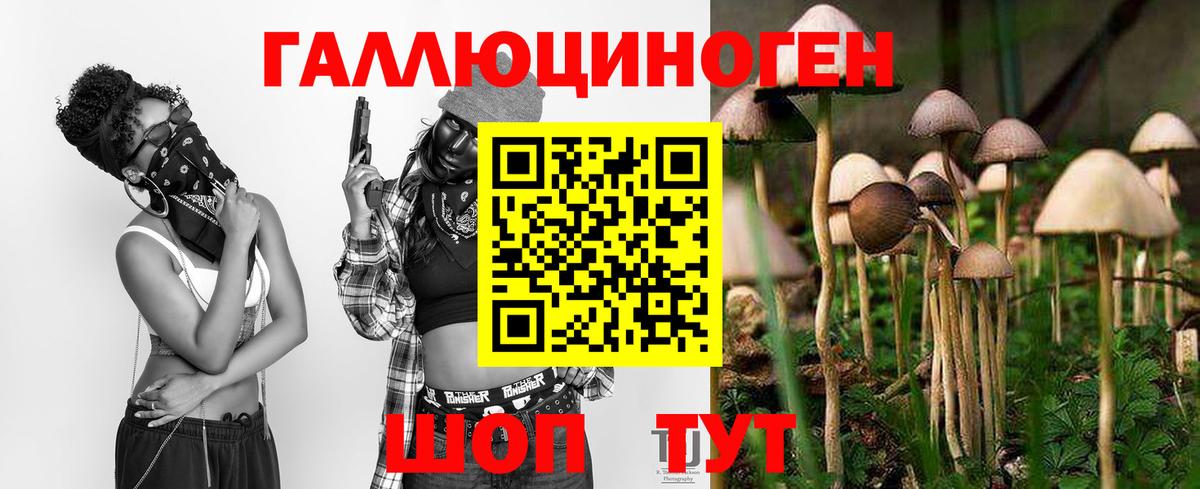 Псилоцибиновые грибы Magic Shrooms Кемерово