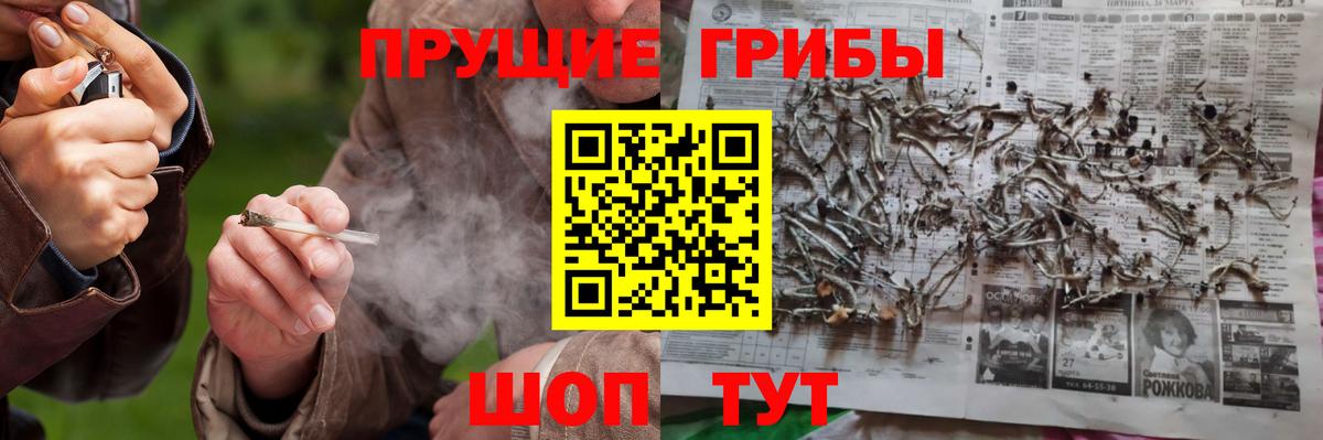 Псилоцибиновые грибы прущие грибы  Галлюциногенные грибы Psilocybine cubensis  Кемерово  Вход с VPN 